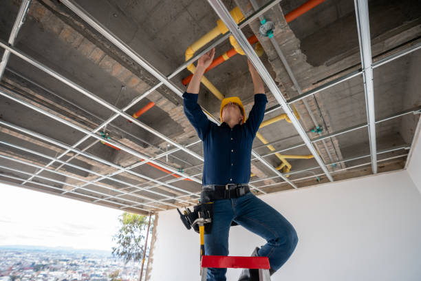 Best Best Plumbers Near Me  in Silver Grove, KY